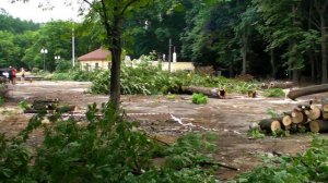 2011.07.22 Харьков, парк Горького. Что от него останется