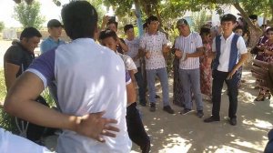 ## туи  кумсангир