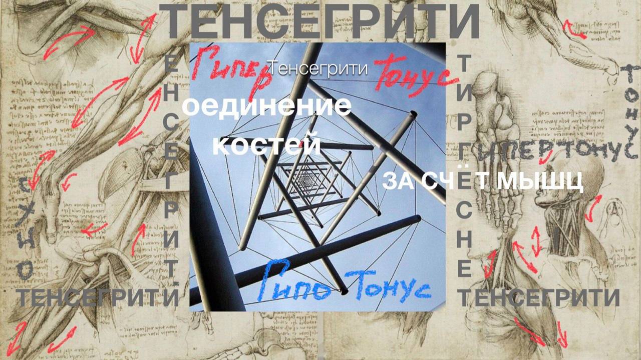 | Тенсегрити | Соединение костей посредством натяжения мышц |