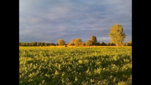 ...Есенин Буря