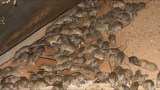 Fantazior HRENOV uroveni BOG:):) смотреть онлайн