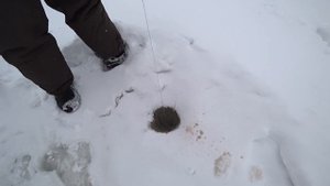 Утопили в наледи мотобуксировщик, поставили хапуги и наловили кучу рыбы!