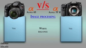 Sony Alpha 65 vs Sony Alpha 77 II