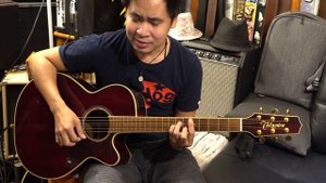 2012 Takamine DMP551C WR