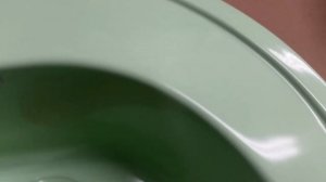 D17 Цвет бело-зеленый RAL6019