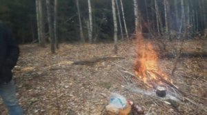 Заготовка дров в лесу.