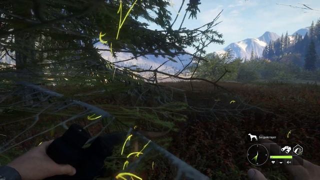 Охота с собакой. Лоси. Утки. Койот. Олени - TheHunter Call of the Wild # 127 смотреть онлайн