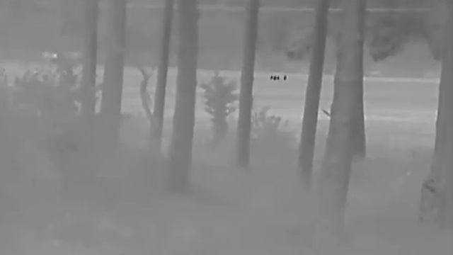 Dziki w Hikvision LH15 смотреть онлайн