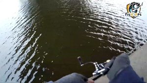 Рыбалка на ультралайт спиннинг с берега осенью |  Streetfishing | Микроджиг