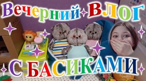 Вечерний влог с Басиками.