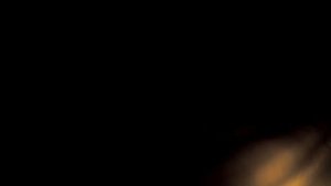 Медведь шатун напал на автолюбителей.