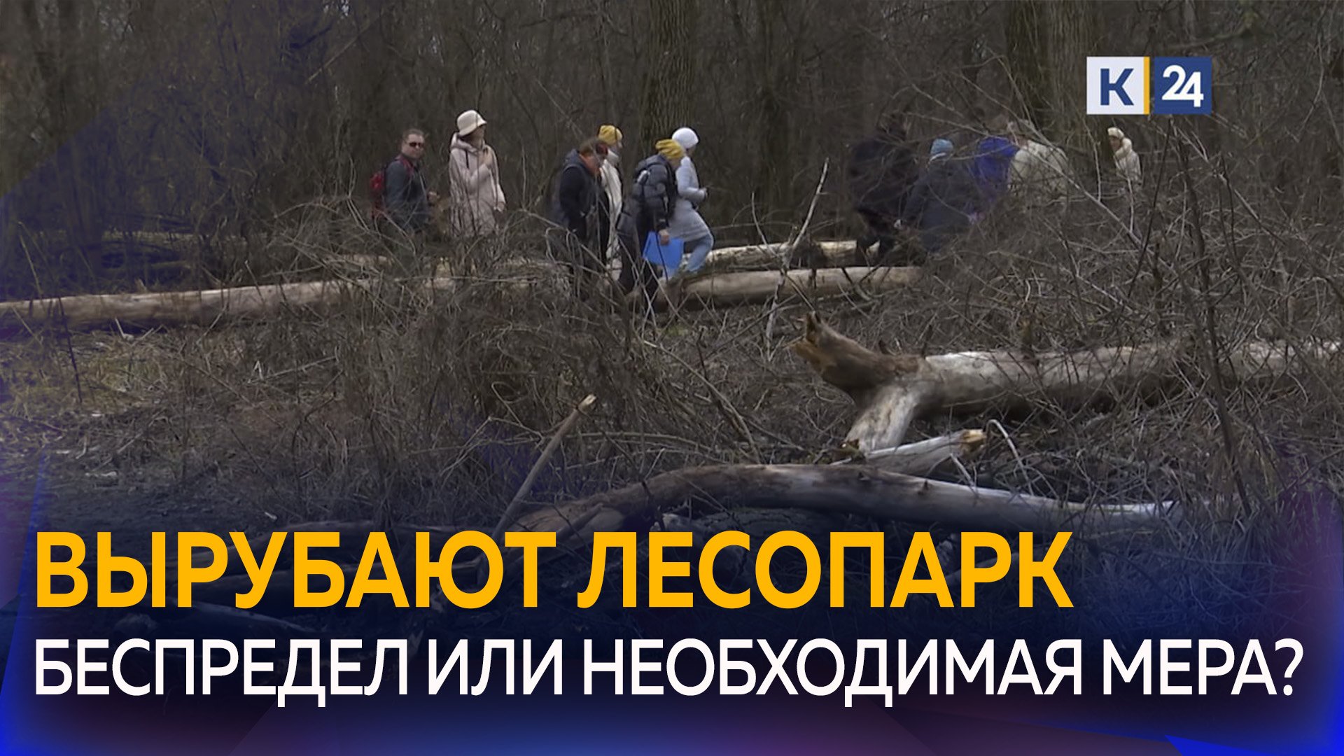 Зачем вырубают деревья в лесопарке Краснодара?