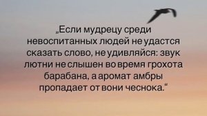 Просто задумайся! Глубокие персидские пословицы и поговорки. Мудрые цитаты Саади Ширази