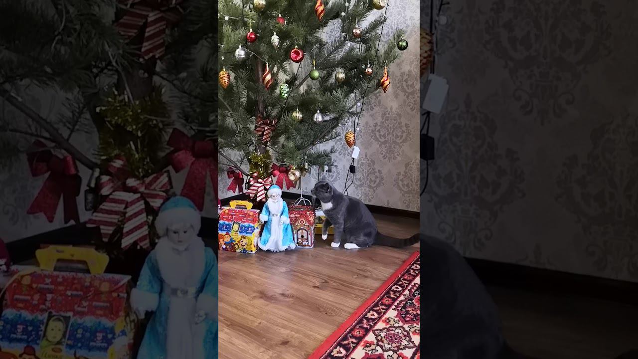 Новый год 2021г.Наш шкодливый Морти.
