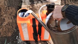 ОБРАБОТКА САДА КОГДА И ЧЕМ БОРЬБА С ПЛОДОЖОРКОЙ