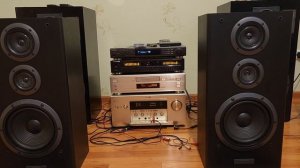 Pioneer CS-5030