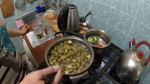 Готовим сироп из сосновой шишки