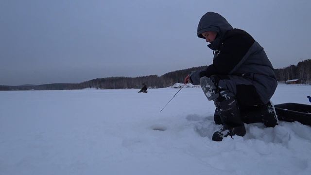 Окунь на балансир смотреть онлайн