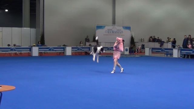 Мызникова Екатерина & АРТИСТ "Обыкновенное чудо" смотреть онлайн