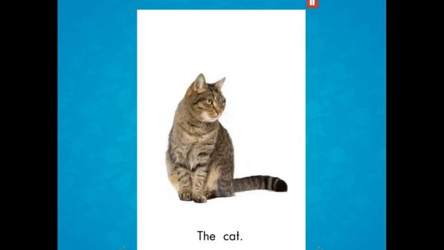 Reading A to Z Reading Practice for Grade 1 Part 5