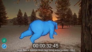 Random Blue Coloured Animals Speed Races at winter in a forest at 7 in the morning in Planet Zoo