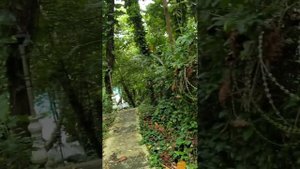 Walking to the Blue Lagoon, Jamaica