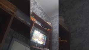 lv_0_20240914164102.mp4