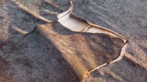 Порвалась кровля из рубероида