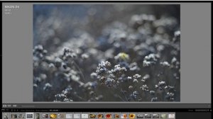 Линейка объективов Takumar / Pentax 55mm F/1.8, Auto-, Super-, SMC, Super-Multi-Coated. Обзор и Тес