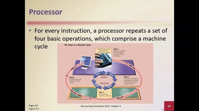 What is Processor | Basic Computers | Lecture 14 | In Urdu #basiccomputer