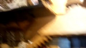 Путешествие в Шварцвальд. Часть 4. Нашли часы с кукушкой