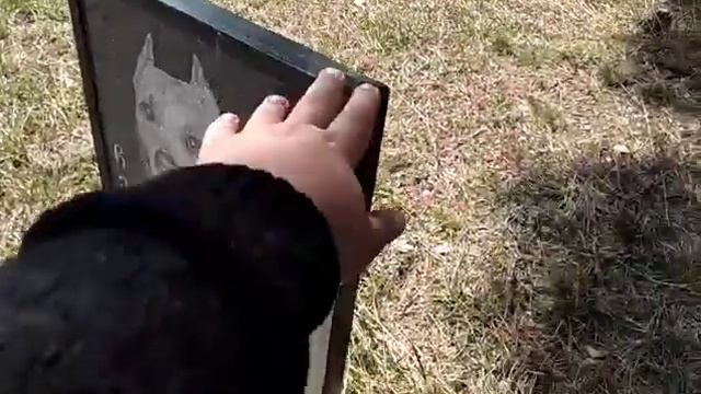 ВЛАДЕЛЬЦЫ КОТОРЫЕ ЗАСЛУЖИВАЮТ УВАЖЕНИЕ!!! смотреть онлайн