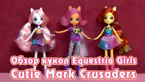 Обзор кукол Cutie Mark Crusaders - Equestria Girls - Wild Rainbow