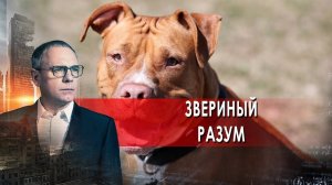 Звериный разум. Самые шокирующие гипотезы с Игорем Прокопенко (25.08.2021).