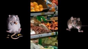 ТУСА В Пятерочке / Пятерочка шокирует - Крысы устроили ТУСУ