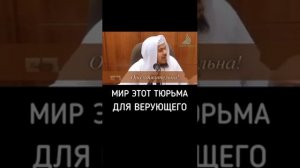 Мир это тюрьма для верующего. Испытания от АЛЛАХА