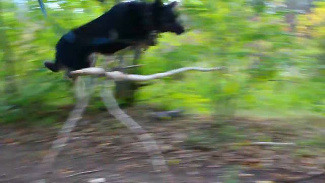 Луна \ Moon смотреть онлайн