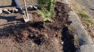 НЕВЕРОЯТНОЕ своими руками | Дилижан, Армения