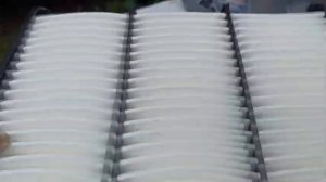 Ravon Gentra | Т.О. ОСЕНЬ 2020