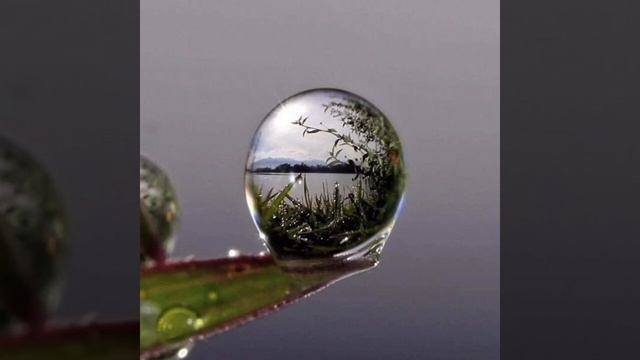 Держим ..НОС..?.по ветру... смотреть онлайн