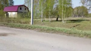 собачки Ярково