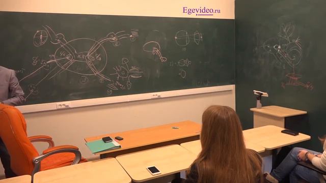 Мозжечок