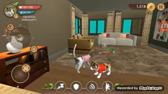 Показ мод в Cat Sim смотреть онлайн