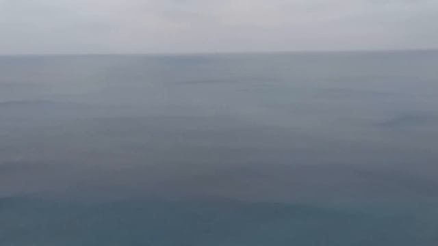 Разговоры о блогерах Анапы и переехавших на прогулке к морю