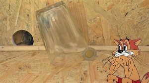 Мультик. Кот Леопольд новые приключения. Как поймать мышу. how to catch a mouse. mousetrap