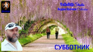 Вадим Колчин "Субботник" [VaZaR@S†udio]