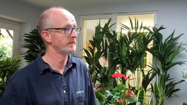 Nature at Work Office Plant Specialists смотреть онлайн