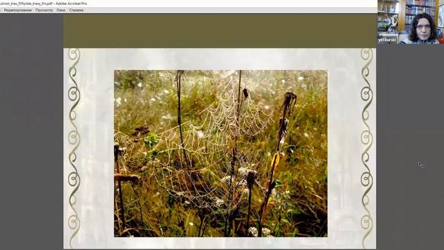 Безоплатный МК "Эльфийские травы" - Урок 1 смотреть онлайн