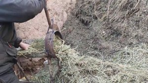 чөп кырккыч жады