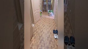 Перекраска дверей